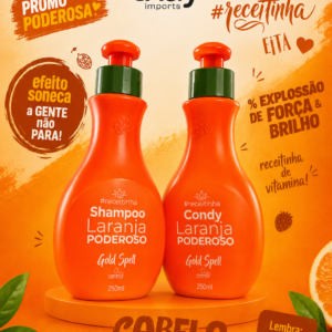 shampoo 250ml e conditionador 250ml Poderoso gold spell